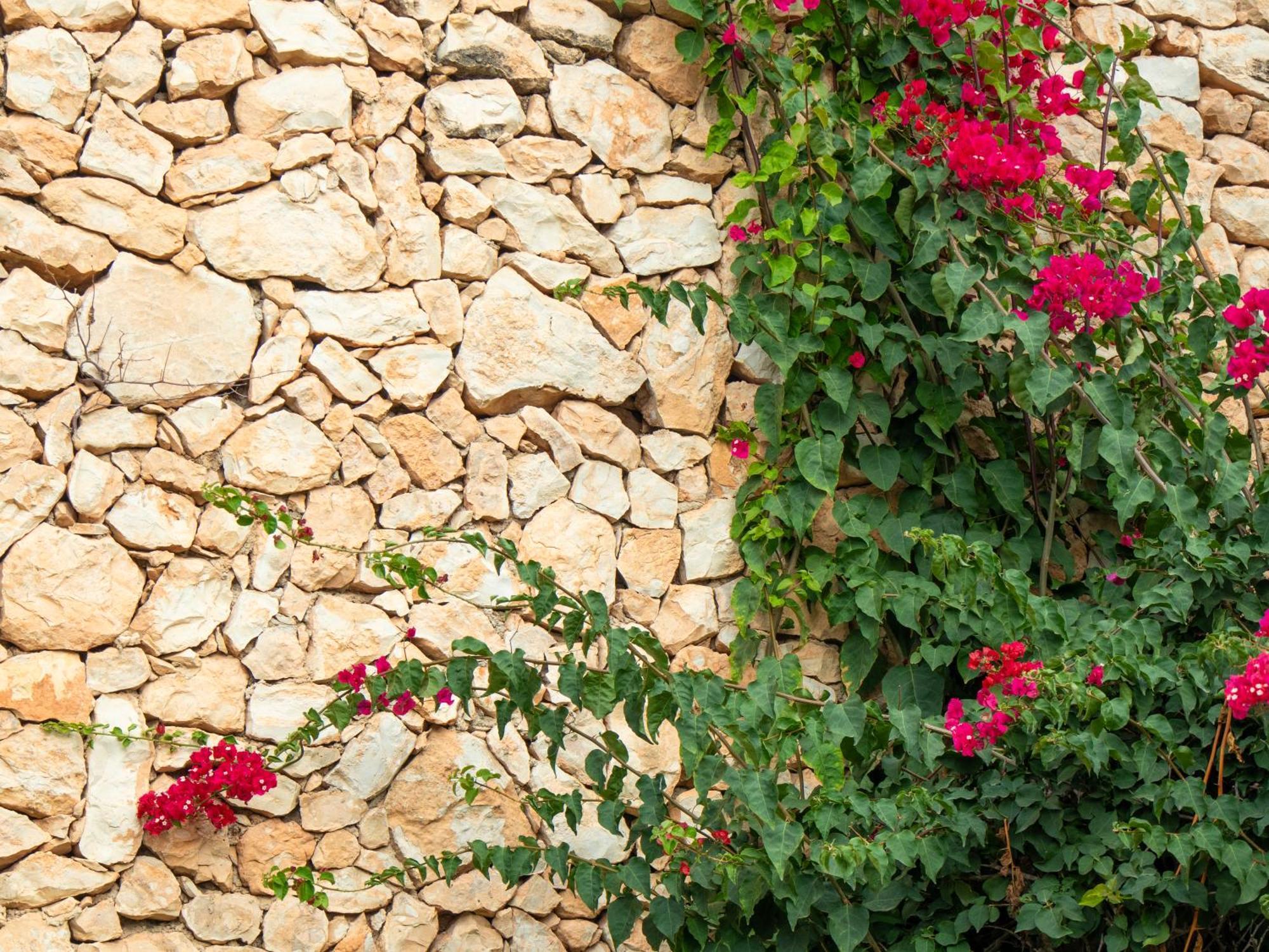 Hotel Montepiedra 4""Sup Dehesa de Campoamor  Εξωτερικό φωτογραφία